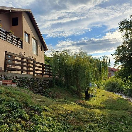 Appartement Casa Radu Transalpina à Novaci-Străini Extérieur photo