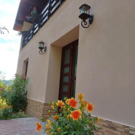Appartement Casa Radu Transalpina à Novaci-Străini Extérieur photo