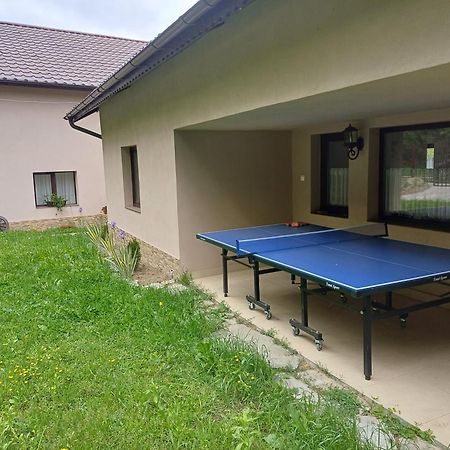Appartement Casa Radu Transalpina à Novaci-Străini Extérieur photo