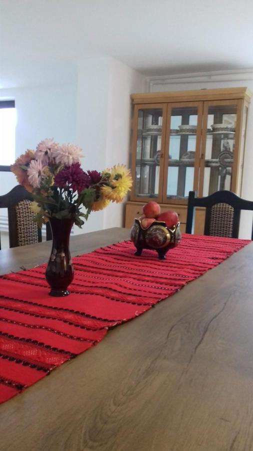 Appartement Casa Radu Transalpina à Novaci-Străini Extérieur photo