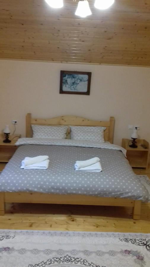 Appartement Casa Radu Transalpina à Novaci-Străini Extérieur photo