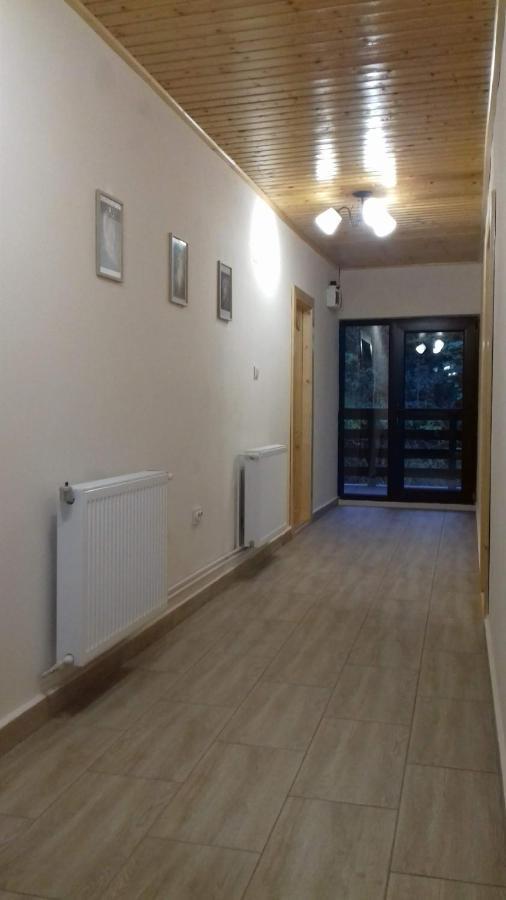 Appartement Casa Radu Transalpina à Novaci-Străini Extérieur photo