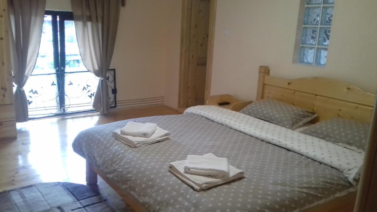 Appartement Casa Radu Transalpina à Novaci-Străini Extérieur photo
