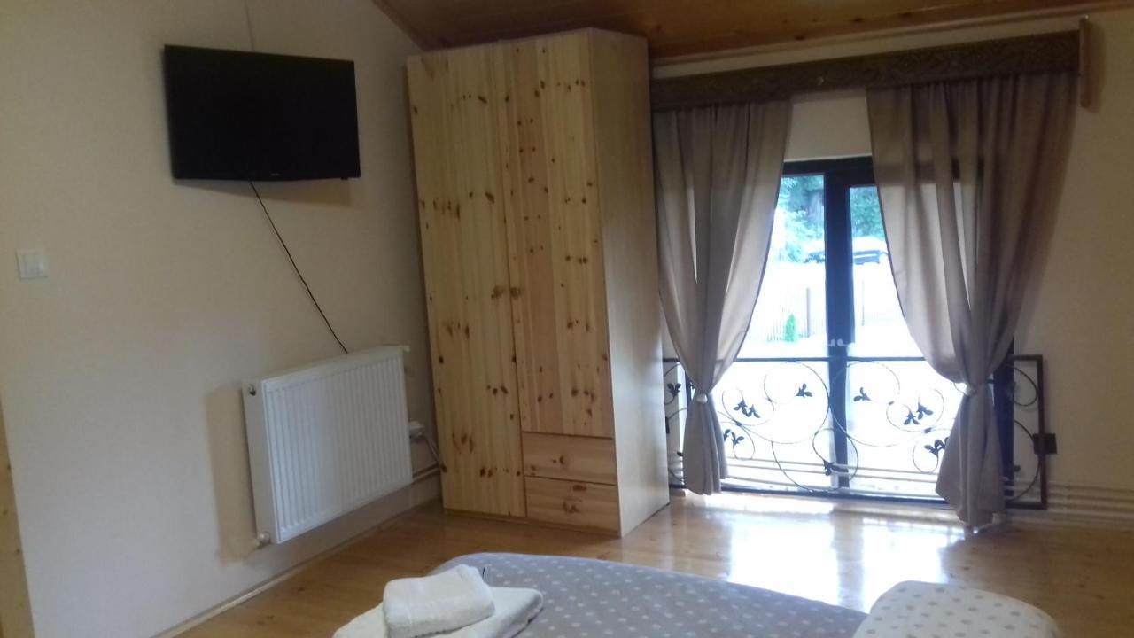 Appartement Casa Radu Transalpina à Novaci-Străini Extérieur photo
