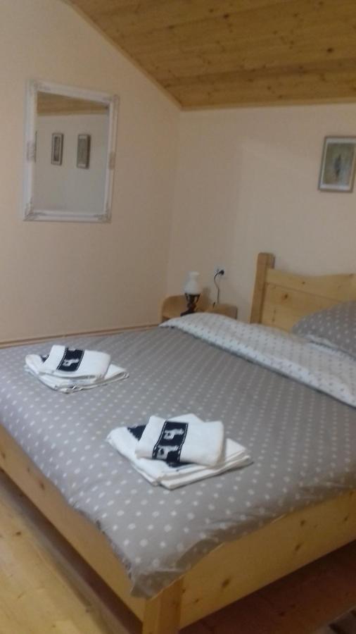 Appartement Casa Radu Transalpina à Novaci-Străini Extérieur photo