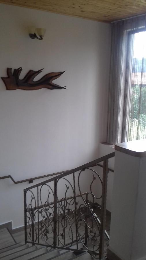 Appartement Casa Radu Transalpina à Novaci-Străini Extérieur photo