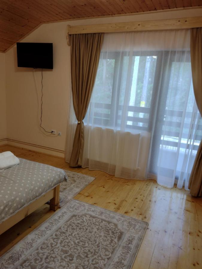 Appartement Casa Radu Transalpina à Novaci-Străini Extérieur photo