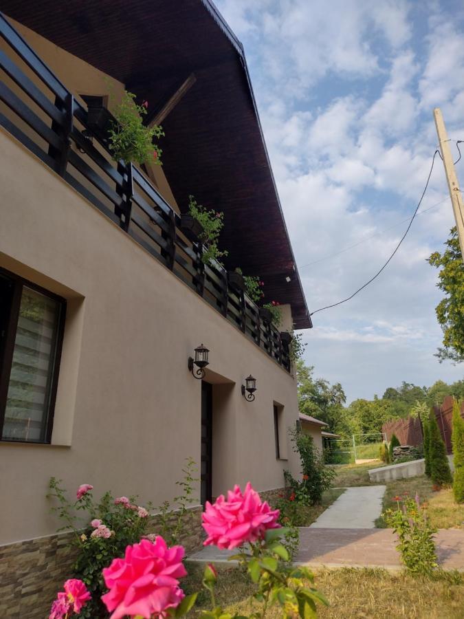 Appartement Casa Radu Transalpina à Novaci-Străini Extérieur photo