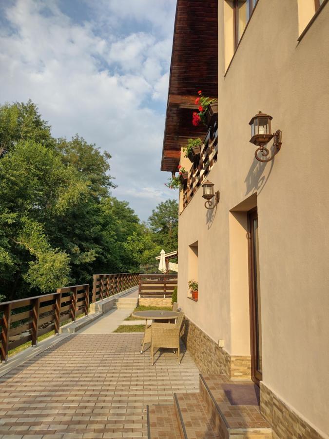 Appartement Casa Radu Transalpina à Novaci-Străini Extérieur photo
