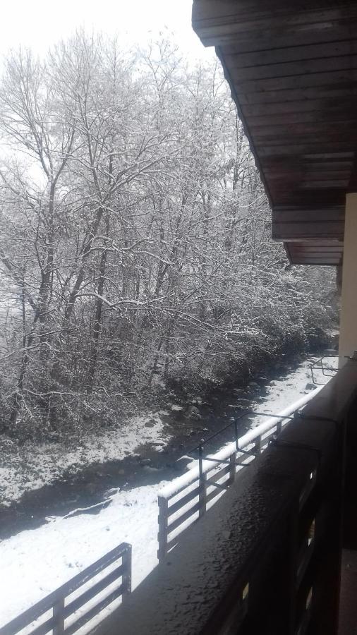 Appartement Casa Radu Transalpina à Novaci-Străini Extérieur photo