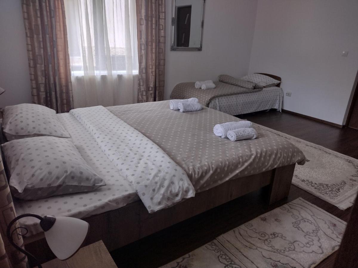 Appartement Casa Radu Transalpina à Novaci-Străini Extérieur photo
