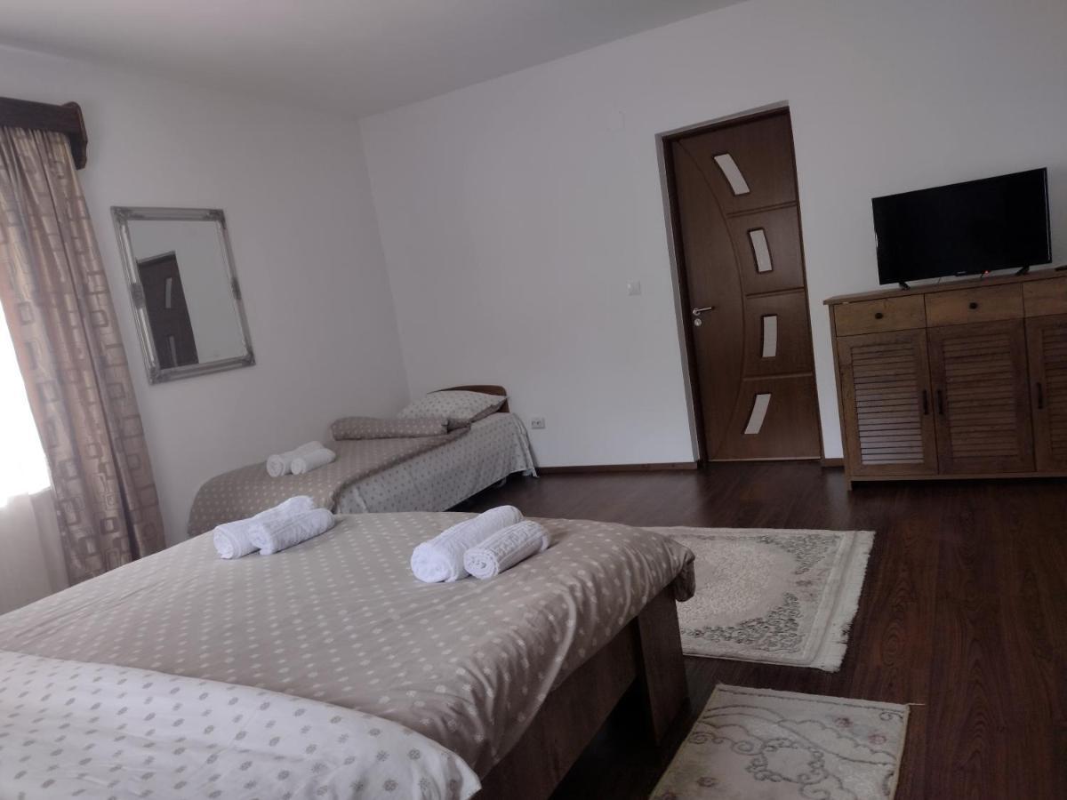 Appartement Casa Radu Transalpina à Novaci-Străini Extérieur photo