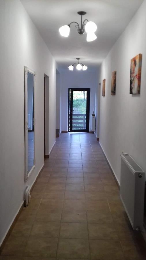 Appartement Casa Radu Transalpina à Novaci-Străini Extérieur photo