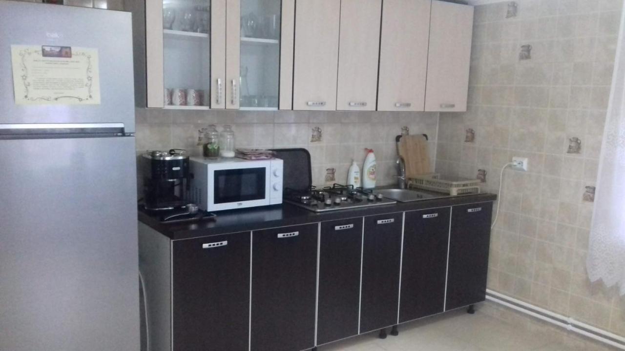 Appartement Casa Radu Transalpina à Novaci-Străini Extérieur photo