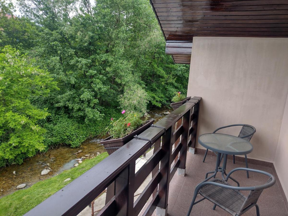 Appartement Casa Radu Transalpina à Novaci-Străini Extérieur photo