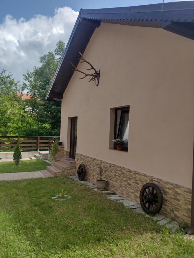 Appartement Casa Radu Transalpina à Novaci-Străini Extérieur photo