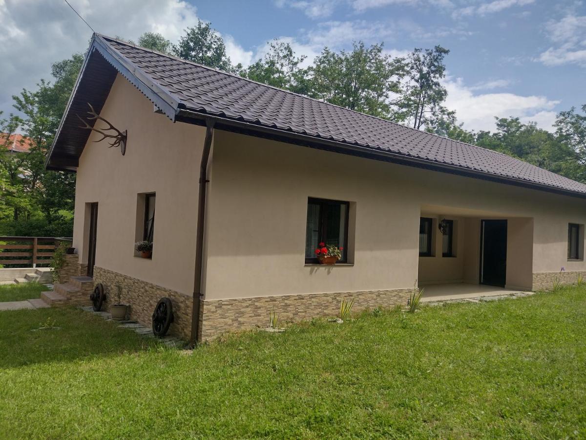 Appartement Casa Radu Transalpina à Novaci-Străini Extérieur photo