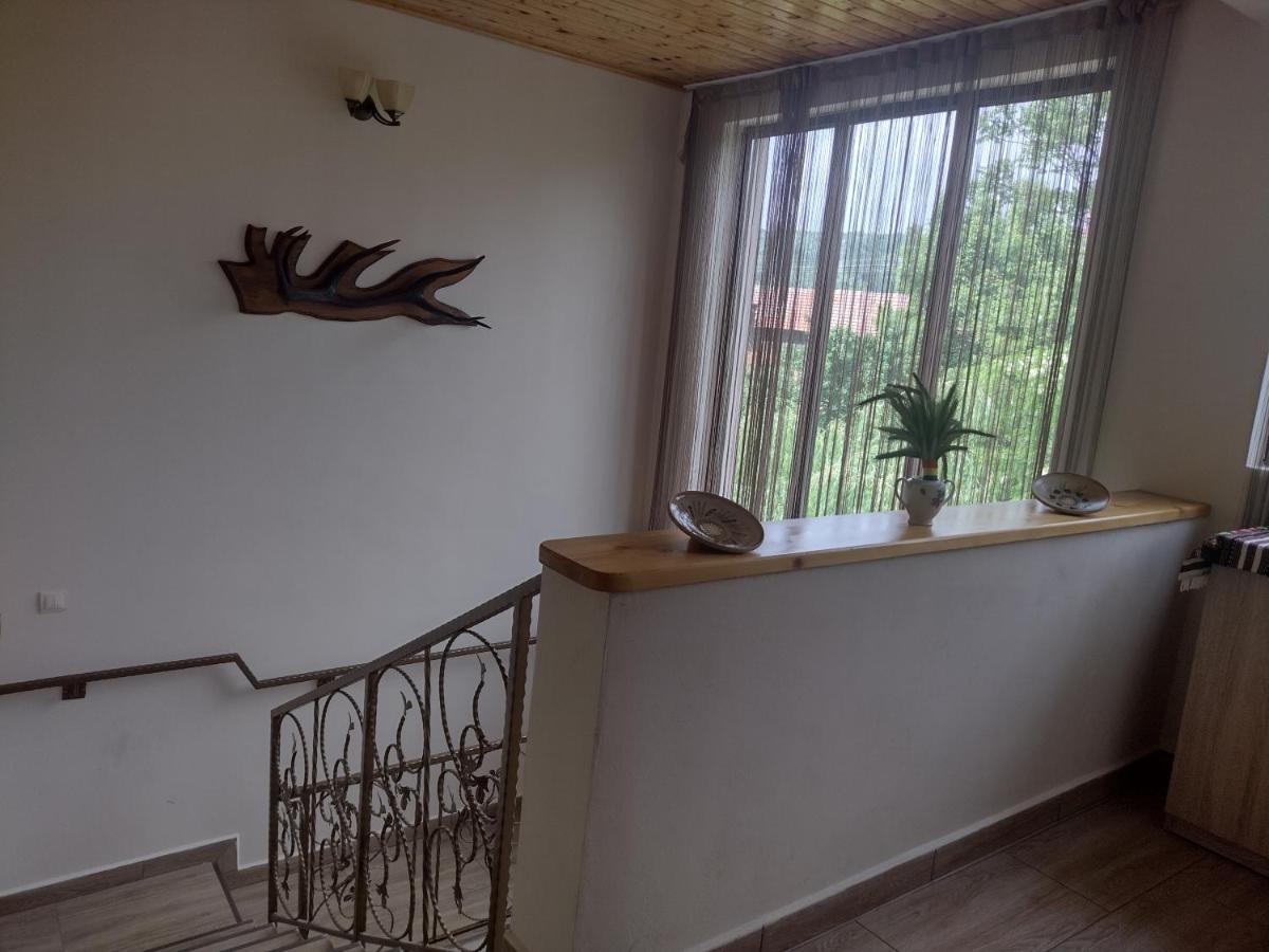 Appartement Casa Radu Transalpina à Novaci-Străini Extérieur photo