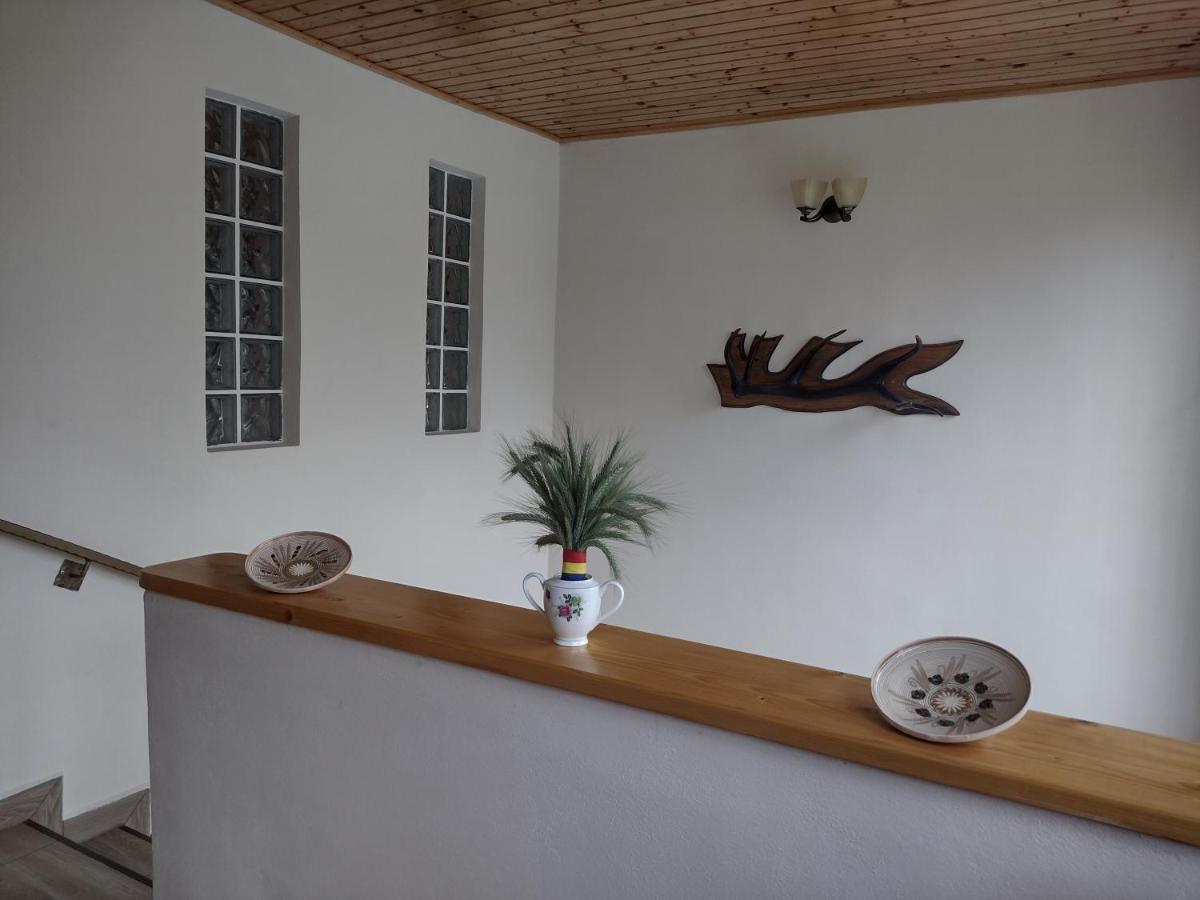 Appartement Casa Radu Transalpina à Novaci-Străini Extérieur photo