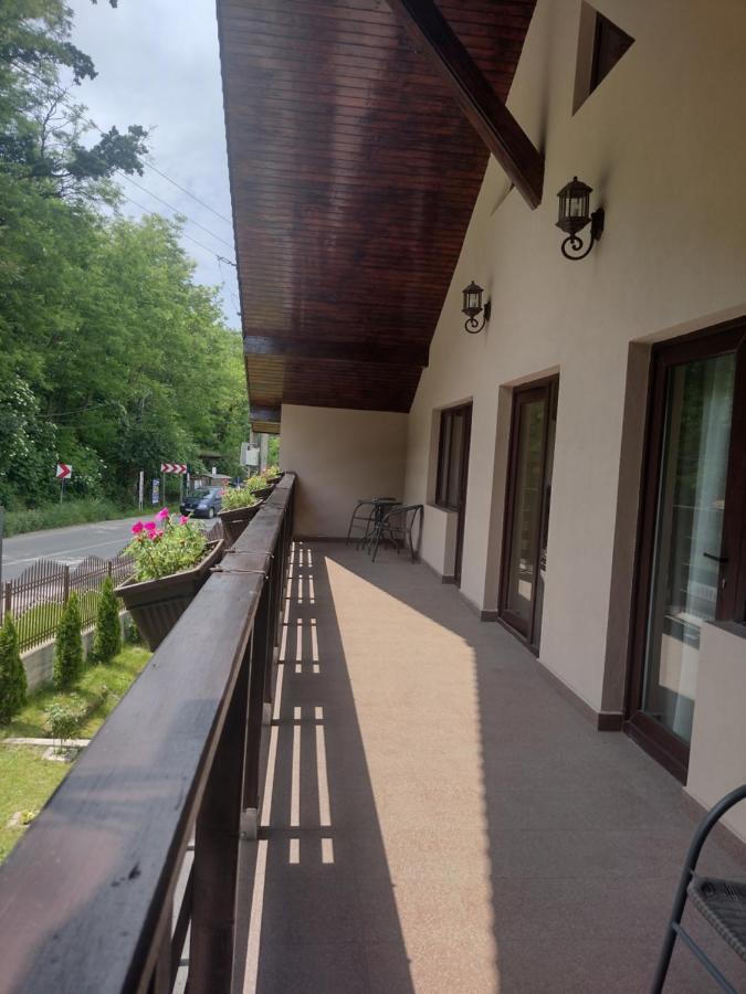 Appartement Casa Radu Transalpina à Novaci-Străini Extérieur photo