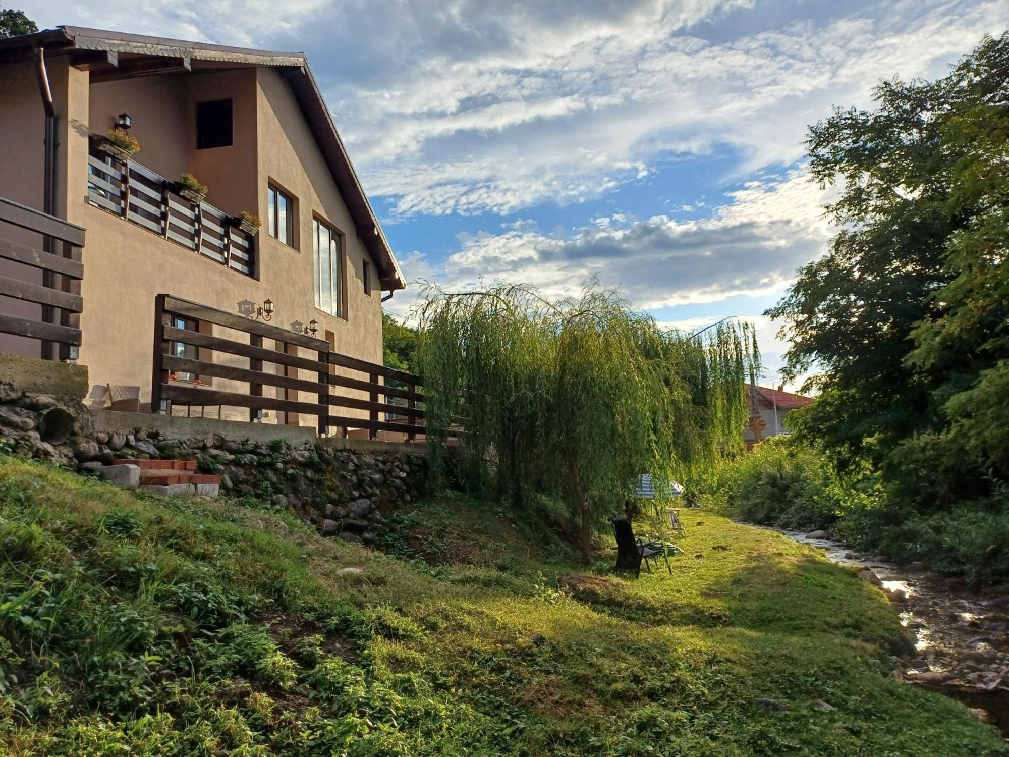 Appartement Casa Radu Transalpina à Novaci-Străini Extérieur photo