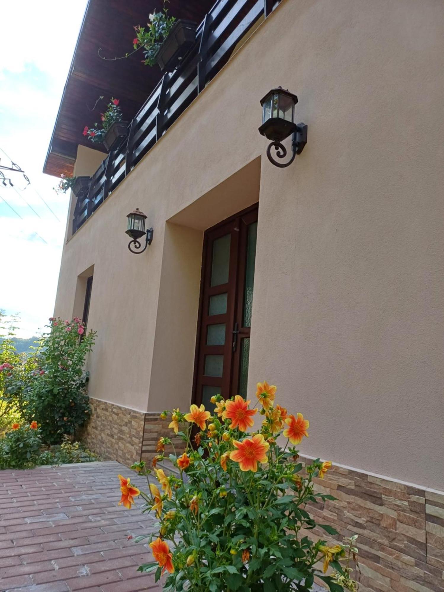 Appartement Casa Radu Transalpina à Novaci-Străini Extérieur photo