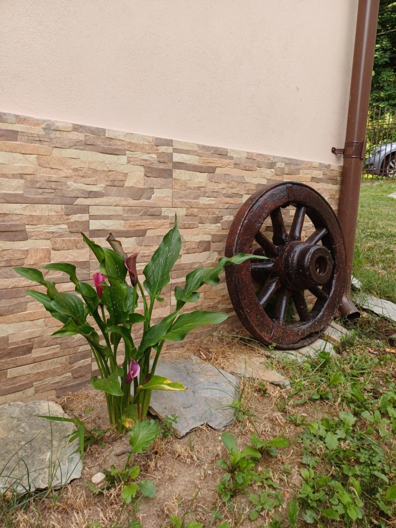 Appartement Casa Radu Transalpina à Novaci-Străini Extérieur photo