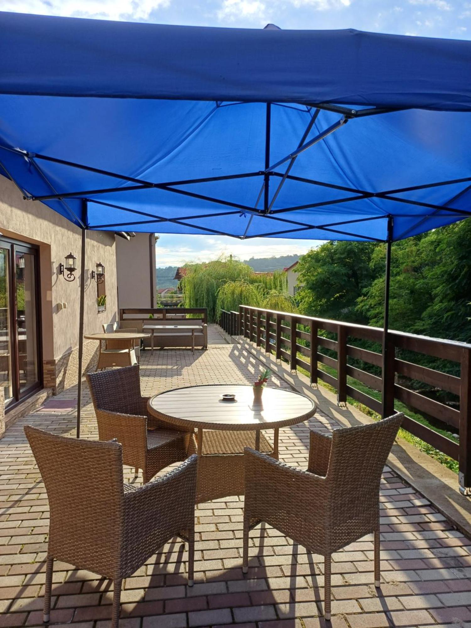 Appartement Casa Radu Transalpina à Novaci-Străini Extérieur photo
