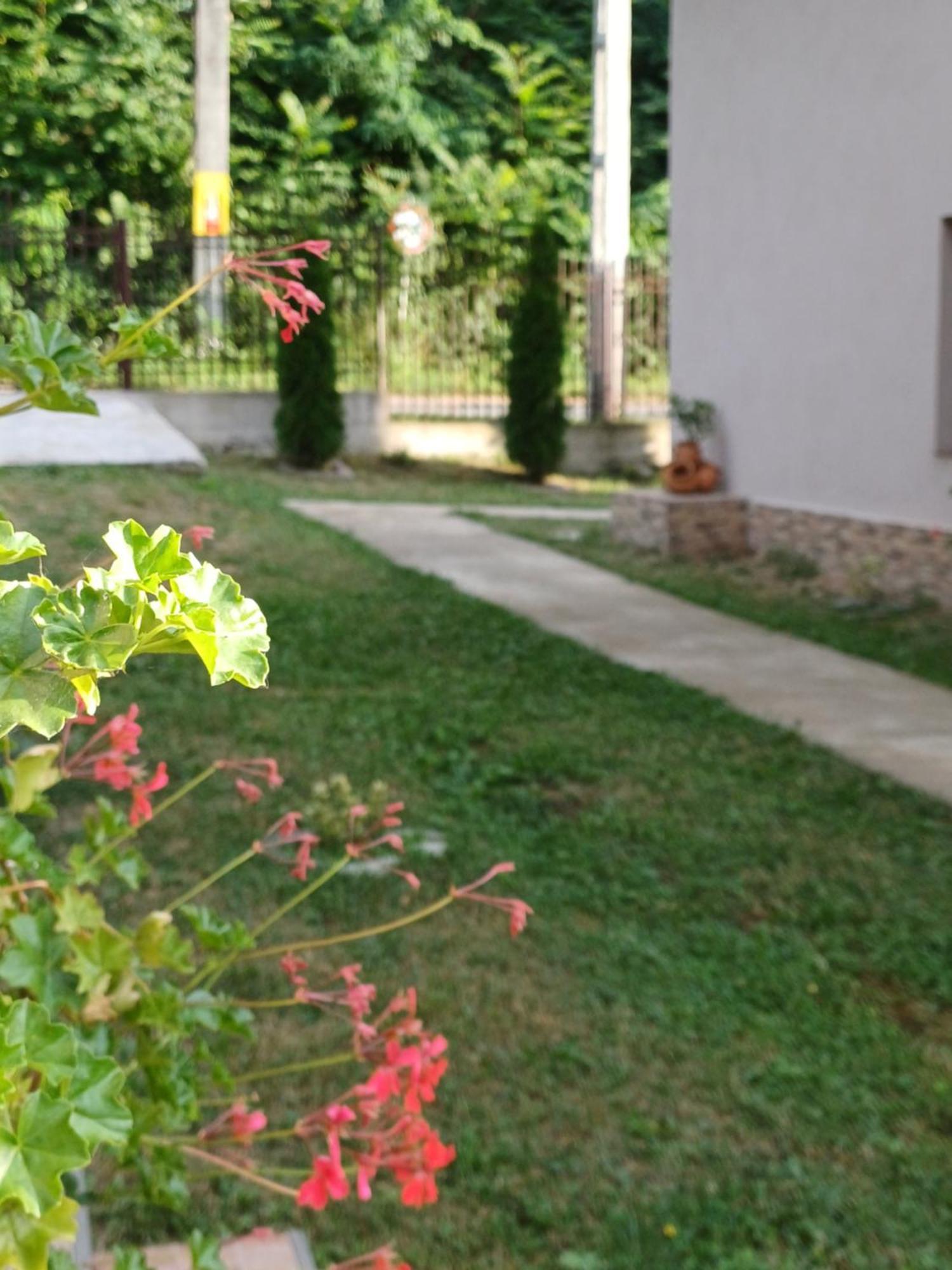 Appartement Casa Radu Transalpina à Novaci-Străini Extérieur photo