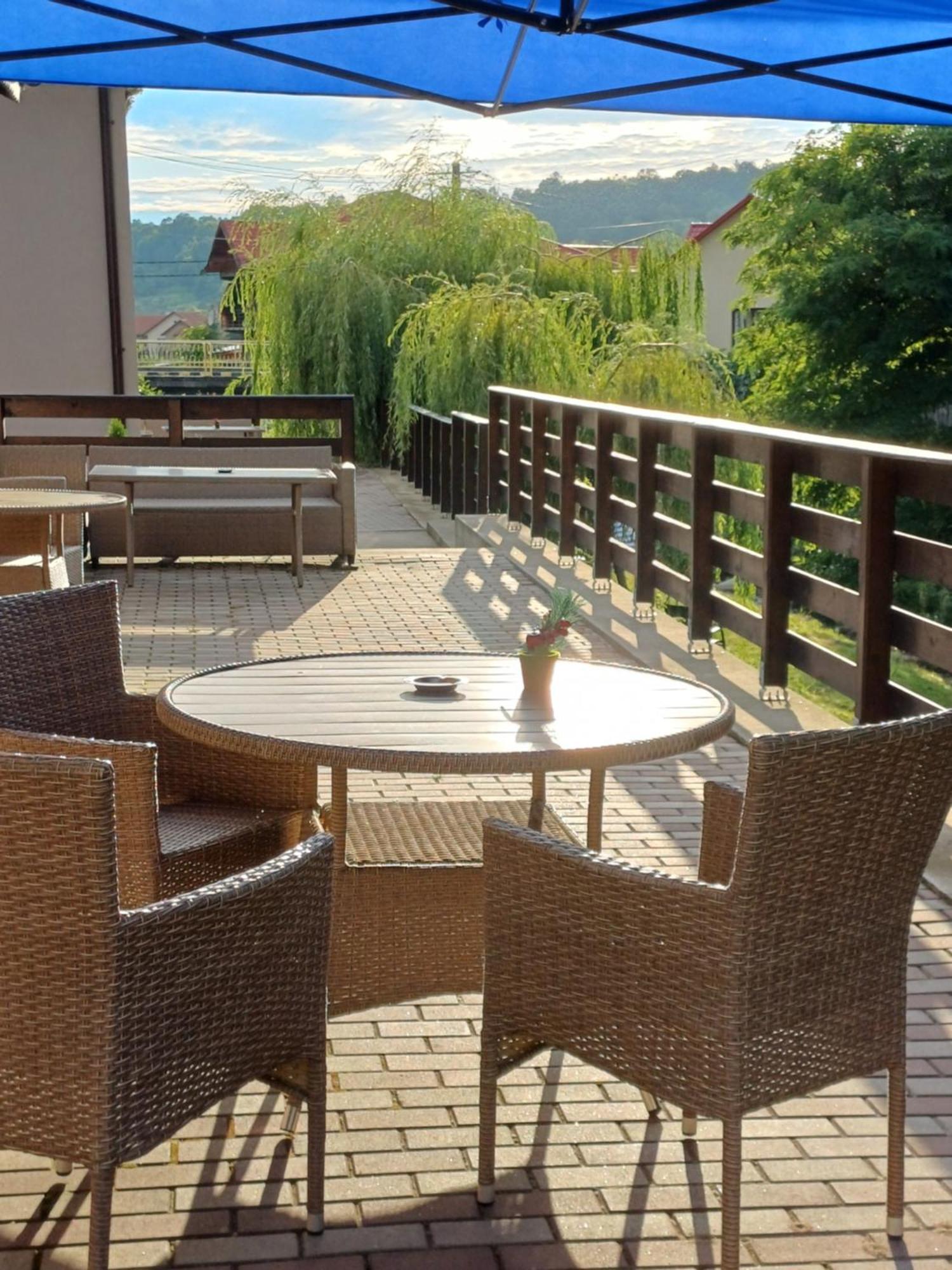 Appartement Casa Radu Transalpina à Novaci-Străini Extérieur photo