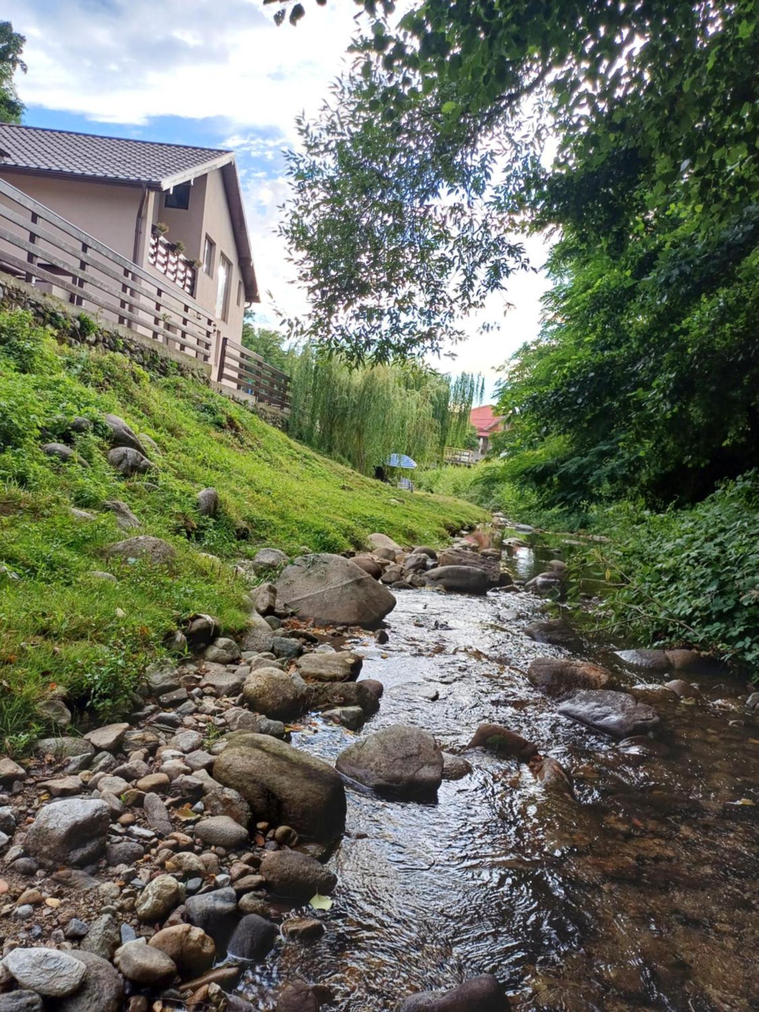 Appartement Casa Radu Transalpina à Novaci-Străini Extérieur photo