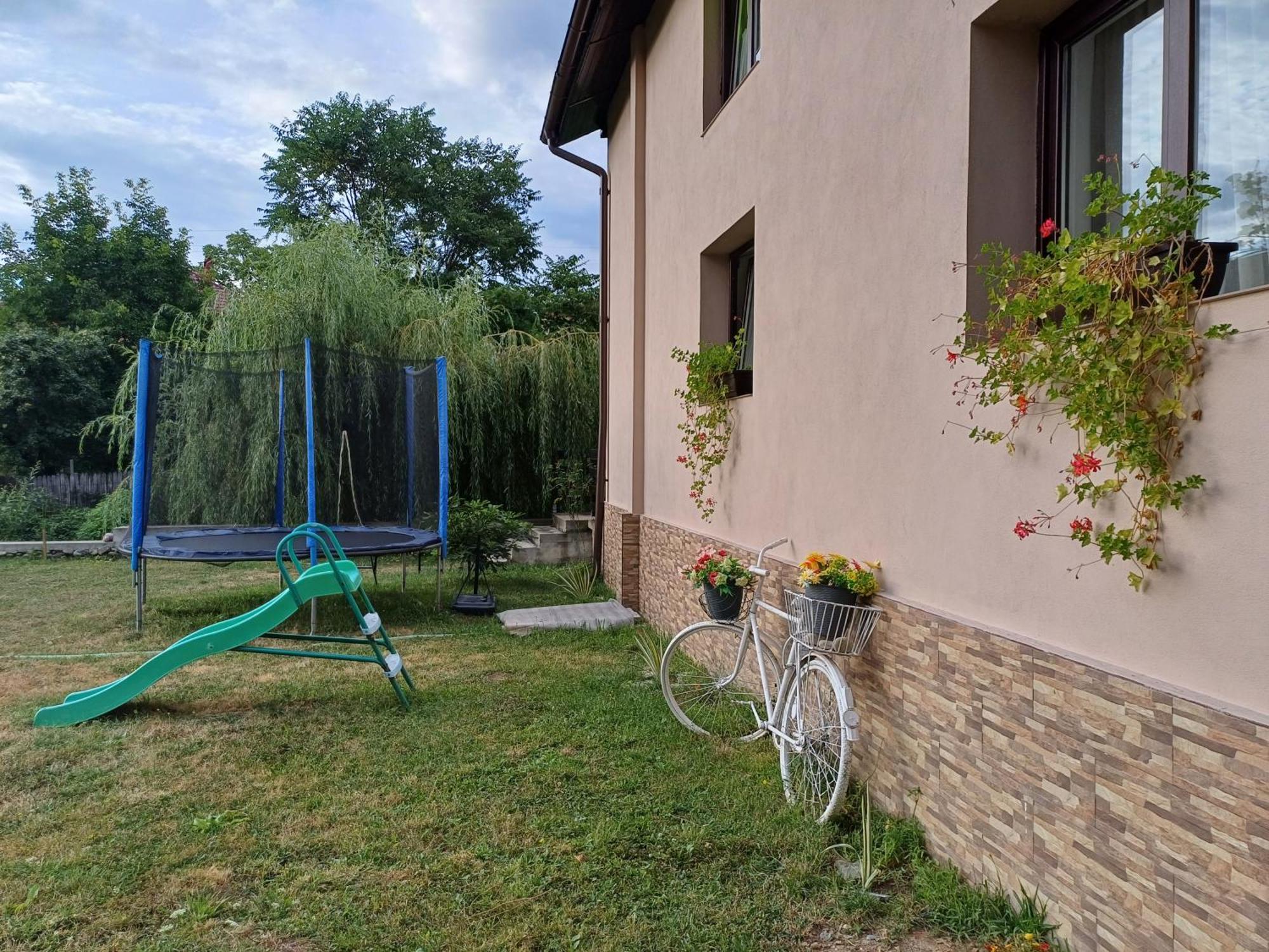 Appartement Casa Radu Transalpina à Novaci-Străini Extérieur photo
