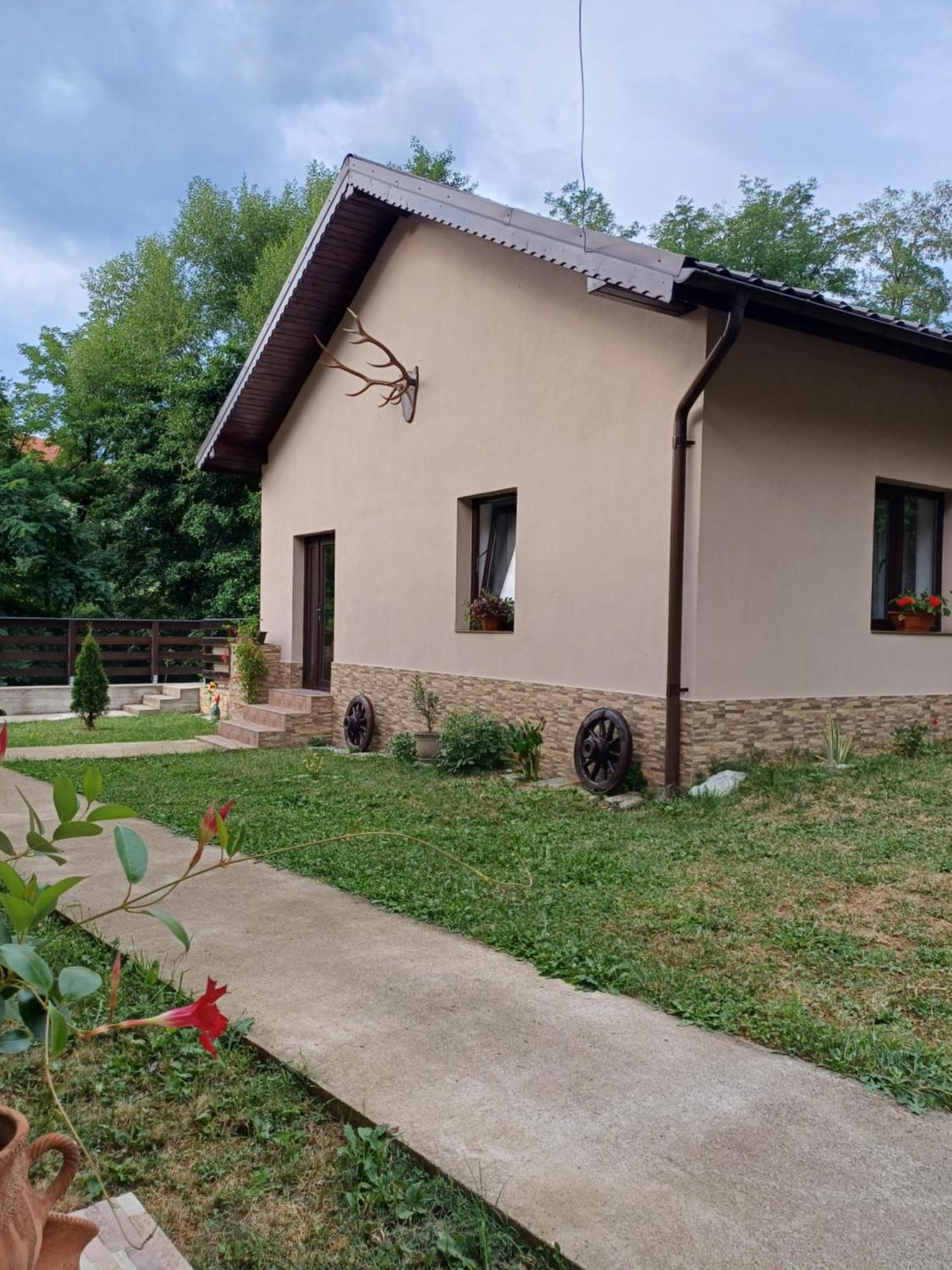 Appartement Casa Radu Transalpina à Novaci-Străini Extérieur photo