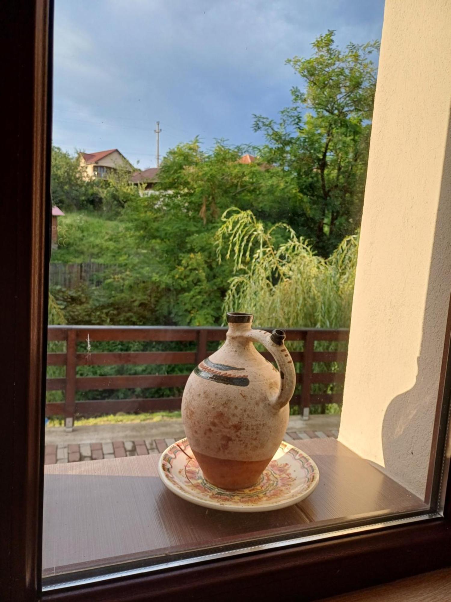 Appartement Casa Radu Transalpina à Novaci-Străini Extérieur photo