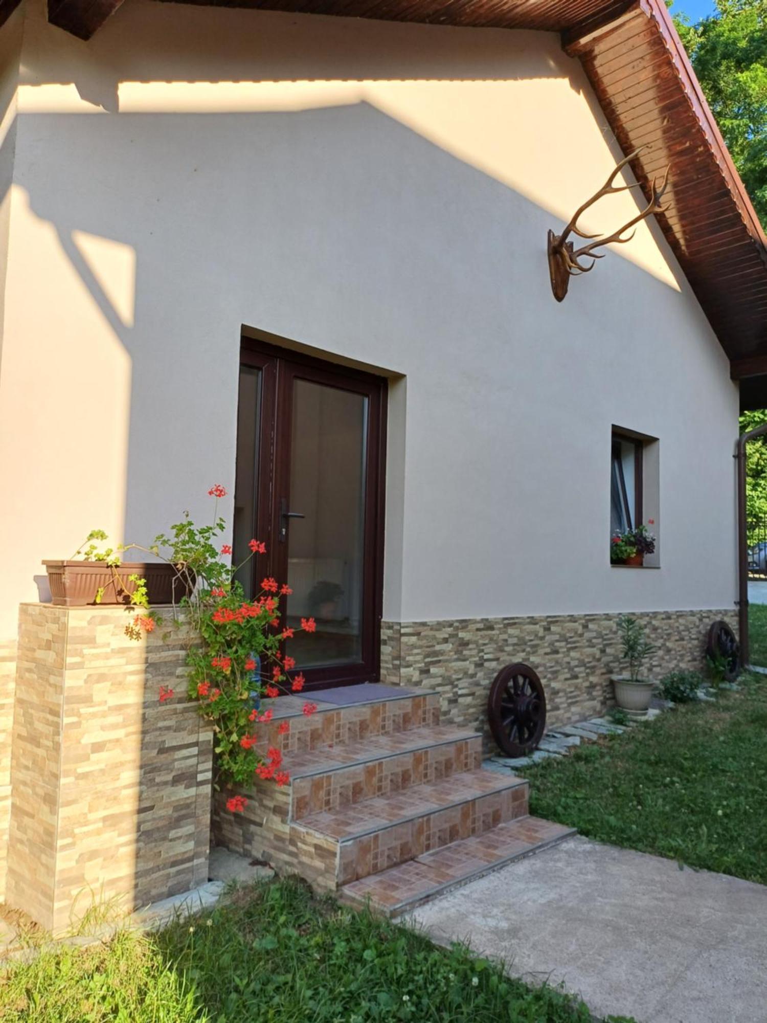 Appartement Casa Radu Transalpina à Novaci-Străini Extérieur photo