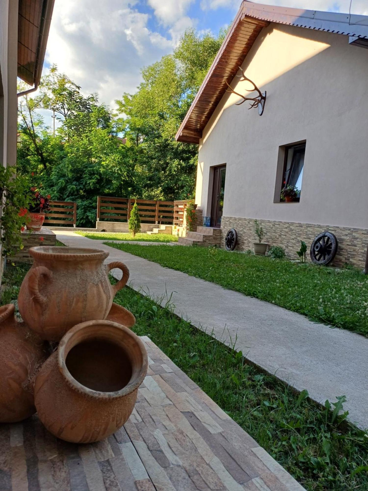 Appartement Casa Radu Transalpina à Novaci-Străini Extérieur photo