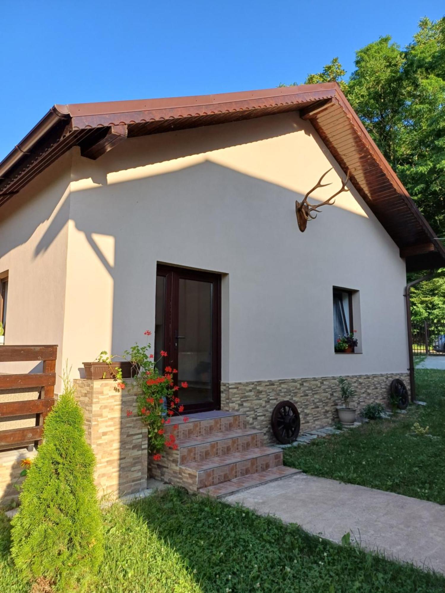 Appartement Casa Radu Transalpina à Novaci-Străini Extérieur photo