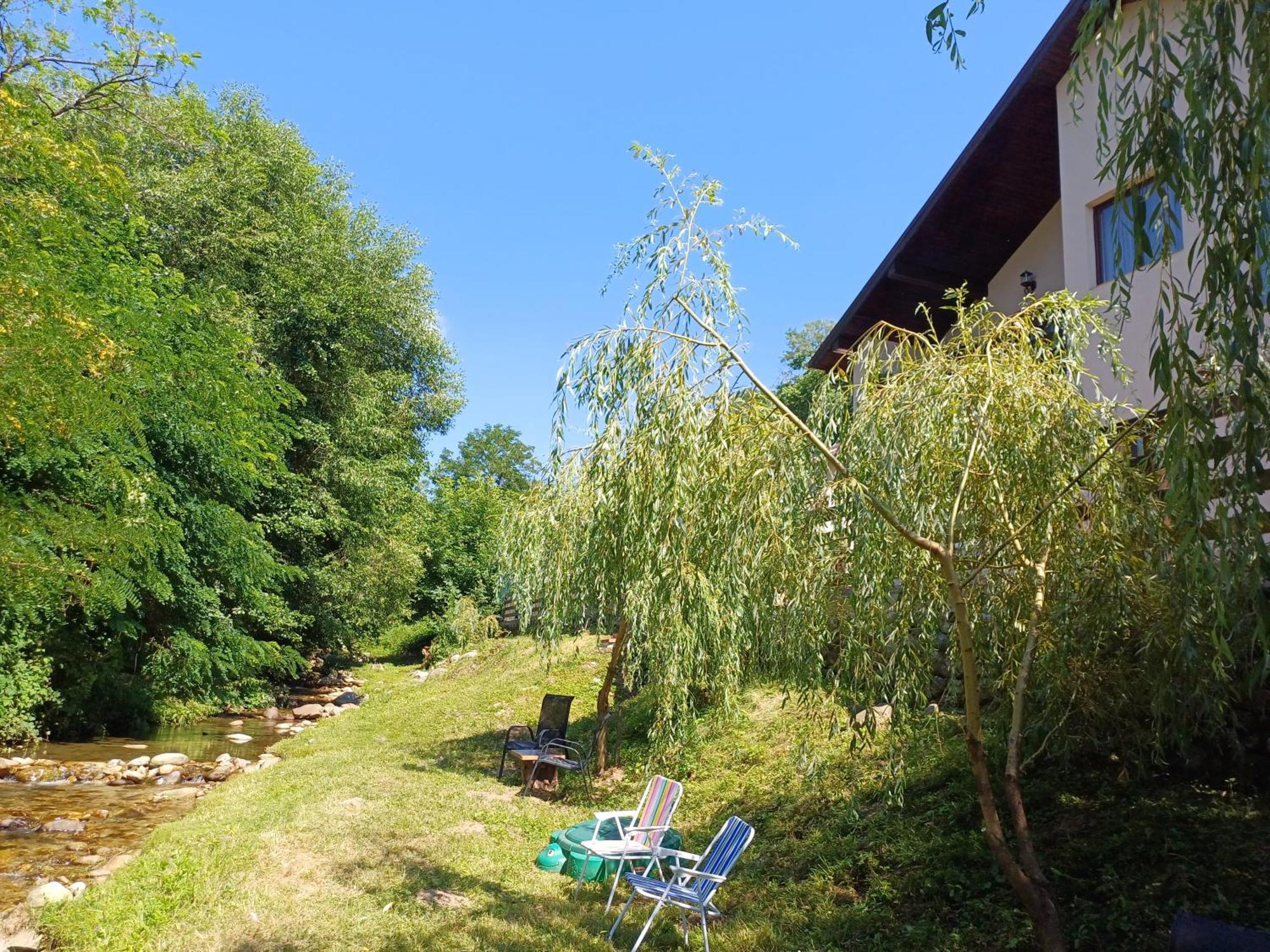 Appartement Casa Radu Transalpina à Novaci-Străini Extérieur photo