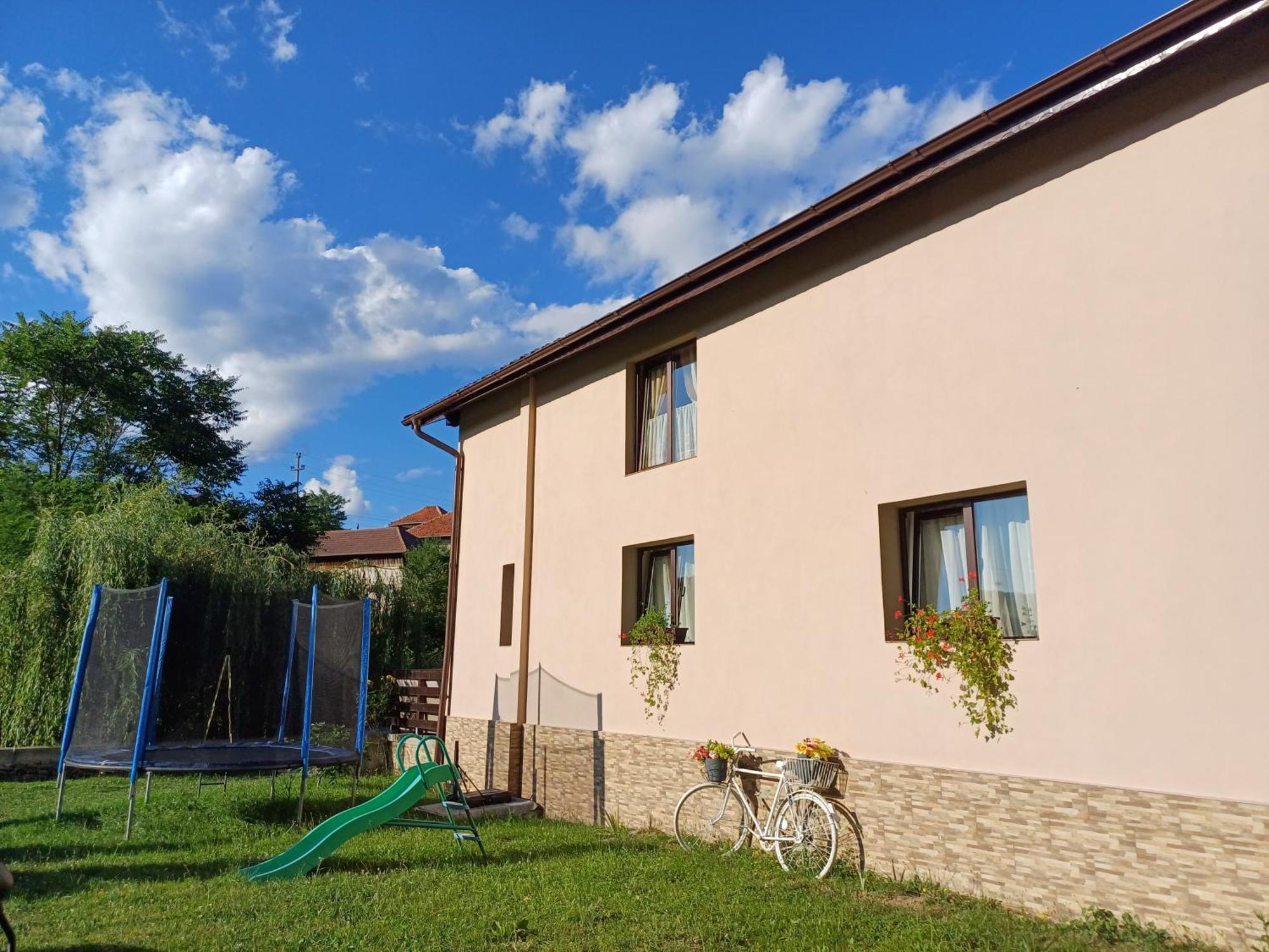 Appartement Casa Radu Transalpina à Novaci-Străini Extérieur photo