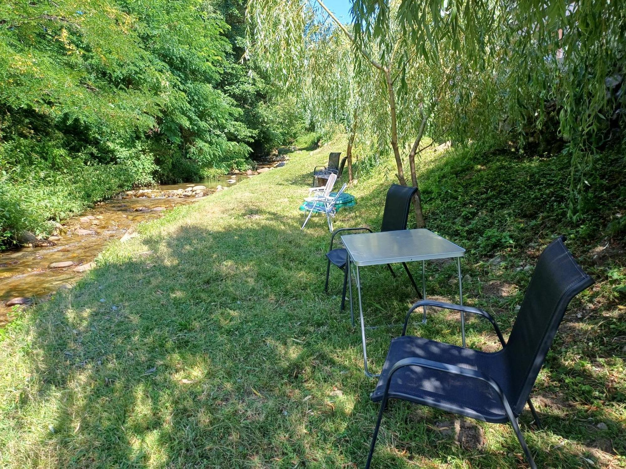 Appartement Casa Radu Transalpina à Novaci-Străini Extérieur photo