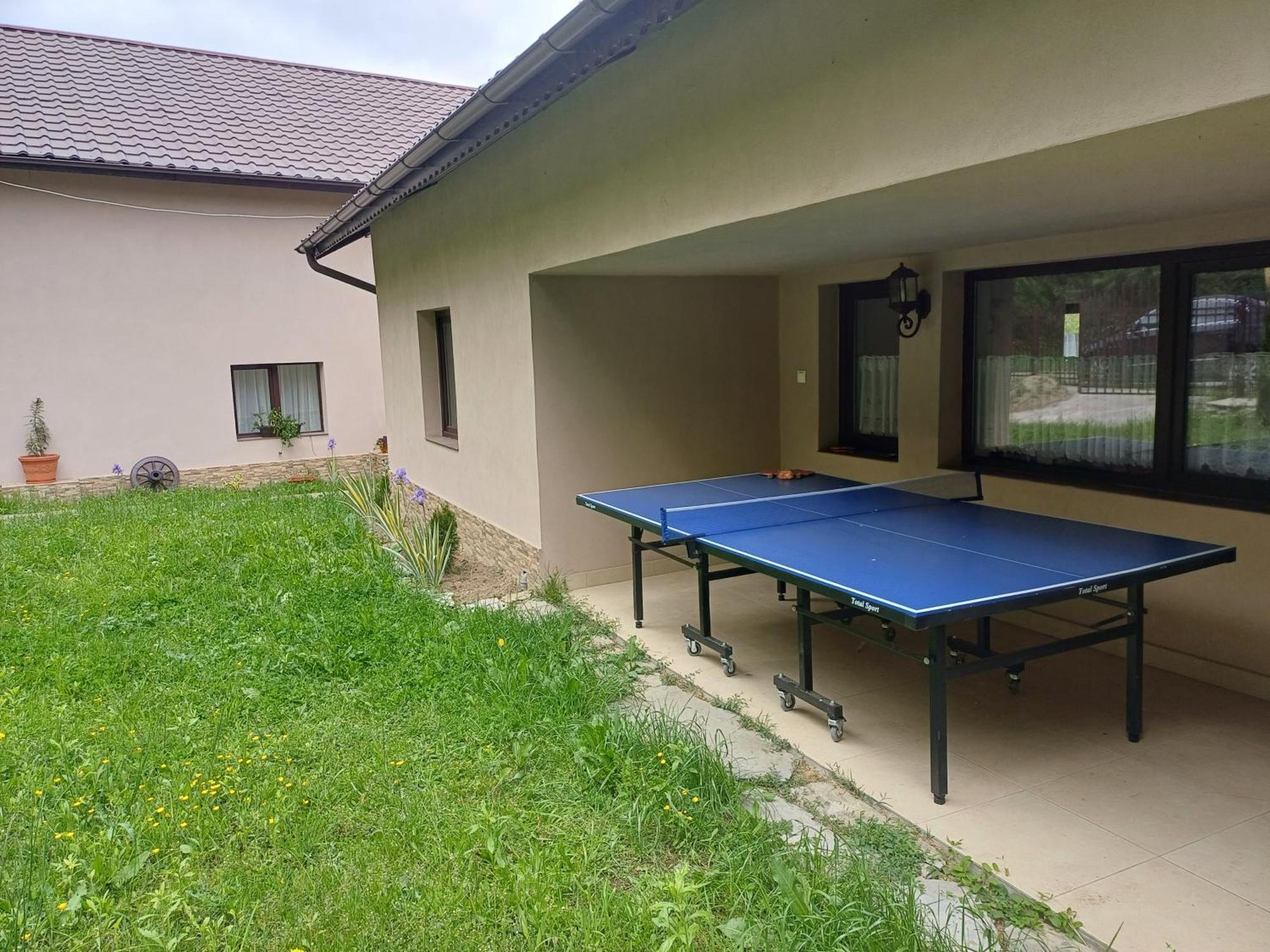 Appartement Casa Radu Transalpina à Novaci-Străini Extérieur photo